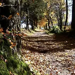 Bed and Breakfast Pegasus Ii - Familiale De Luxe Avec Sauna Privatif Et Coin Repas Vielsalm