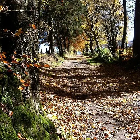 住宿加早餐酒店 Pegasus Ii - Familiale De Luxe Avec Sauna Privatif Et Coin Repas 维尔雅尔姆