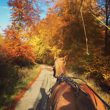 Pegasus Ii - Familiale De Luxe Avec Sauna Privatif Et Coin Repas 비엘살름