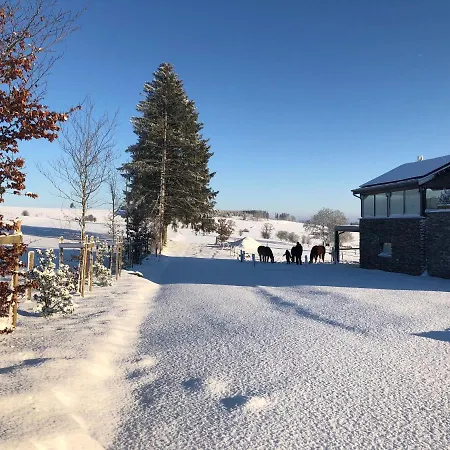 Pegasus Ii - Familiale De Luxe Avec Sauna Privatif Et Coin Repas Vielsalm