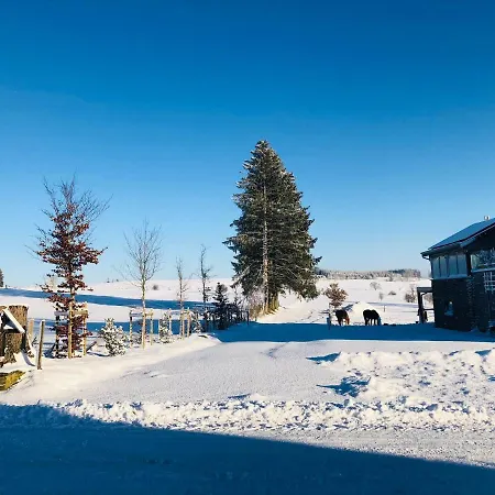 住宿加早餐酒店 Pegasus Ii - Familiale De Luxe Avec Sauna Privatif Et Coin Repas 4*