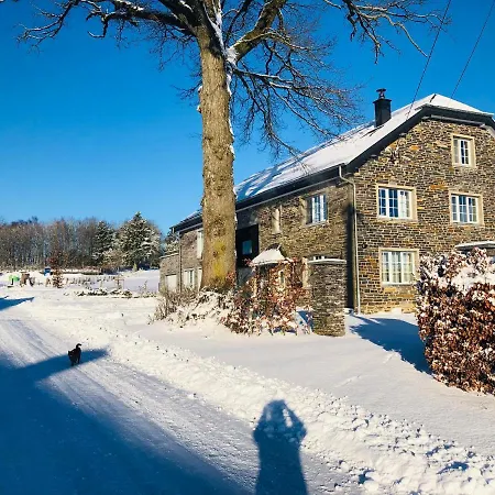 Bed & Breakfast Pegasus Ii - Familiale De Luxe Avec Sauna Privatif Vielsalm