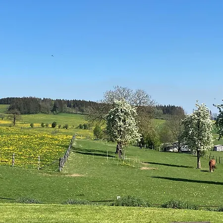 Pegasus Ii - Familiale De Luxe Avec Sauna Privatif Et Coin Repas 4*